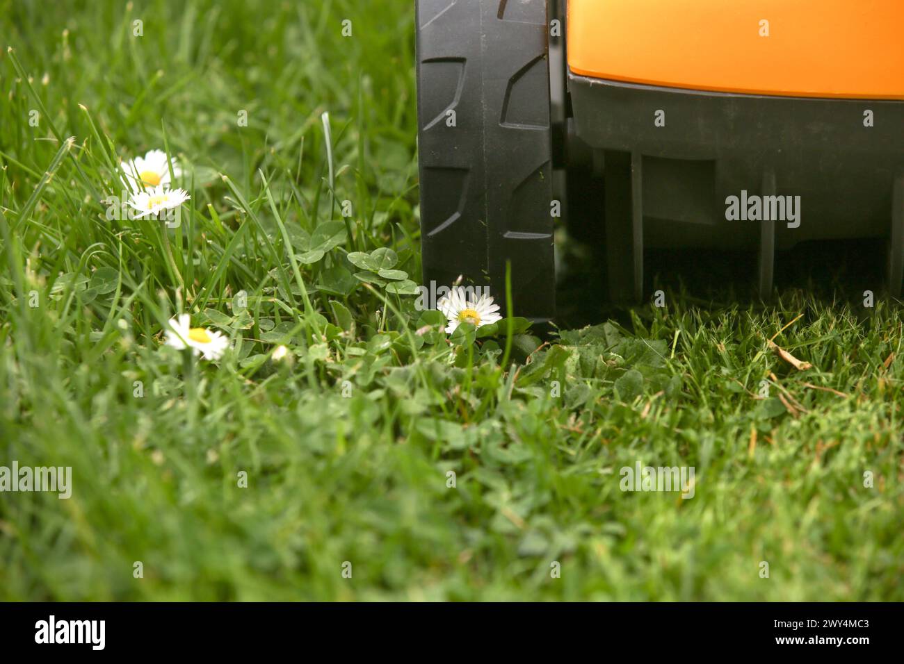 Orangefarbener Rasenmäher auf dem grünen Gras im Hof Stockfoto