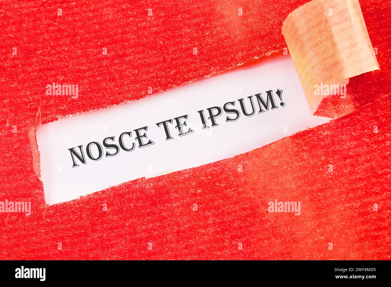 Das lateinische Sprichwort NOSCE TE IPSUM auf weißem Hintergrund unter zerrissenem Papier Stockfoto