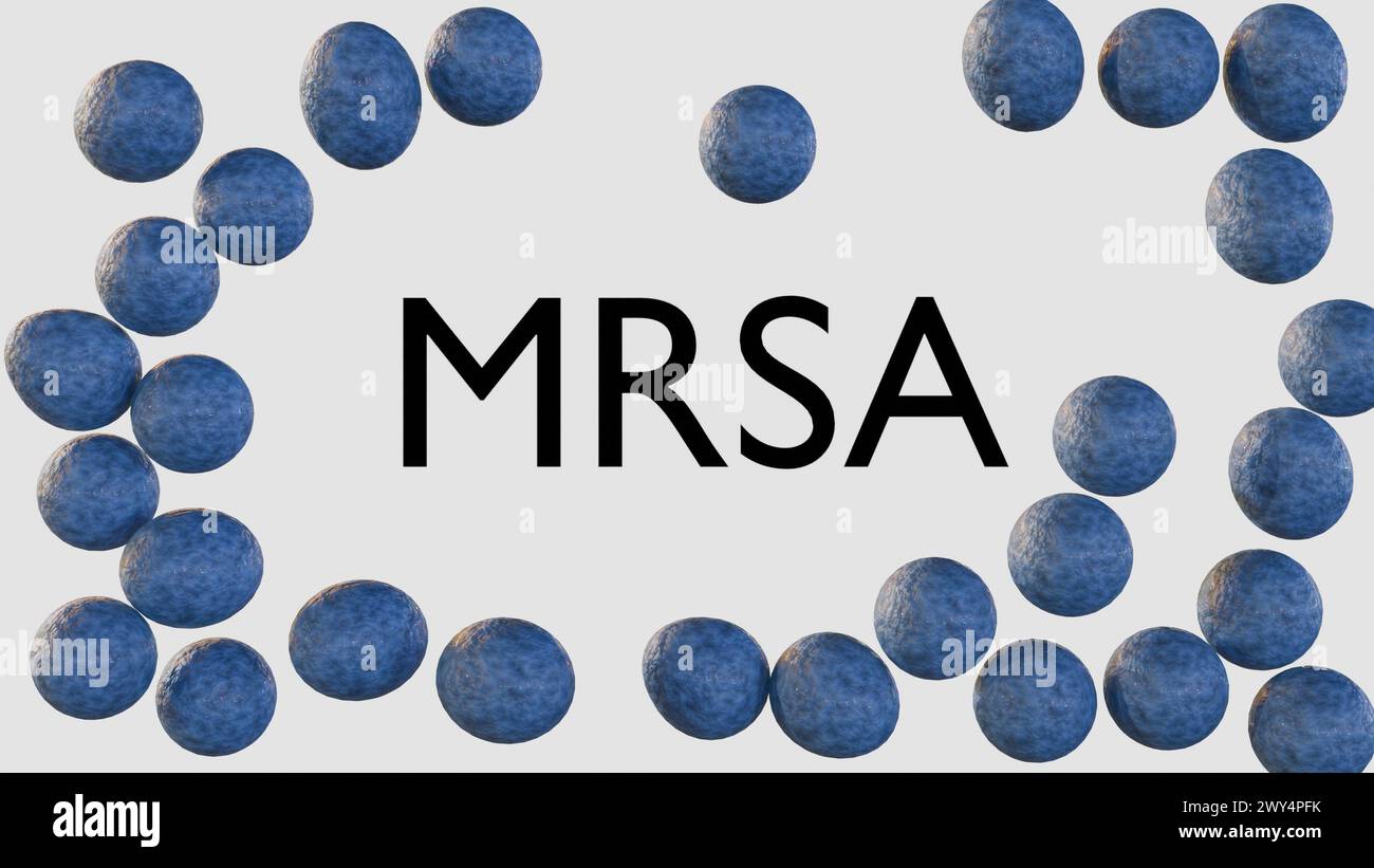 3D-Rendering von MRSA steht für Methicillin-resistente Staphylococcus aureus, eine Art von Bakterien, die gegen mehrere Antibiotika resistent sind Stockfoto