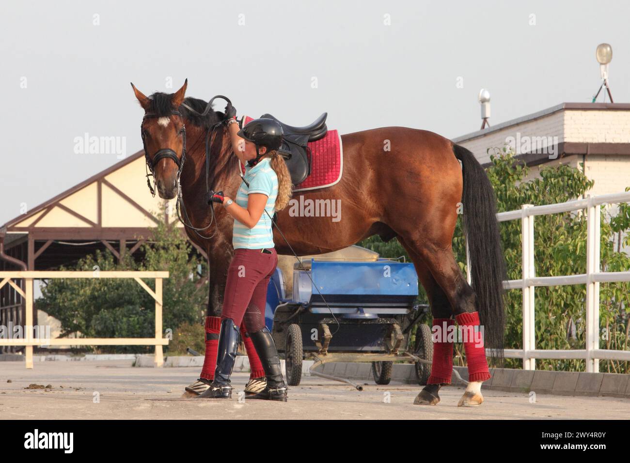 Junge Bräutigam-Mädchen geht mit Pferd im Sportclub Stockfoto