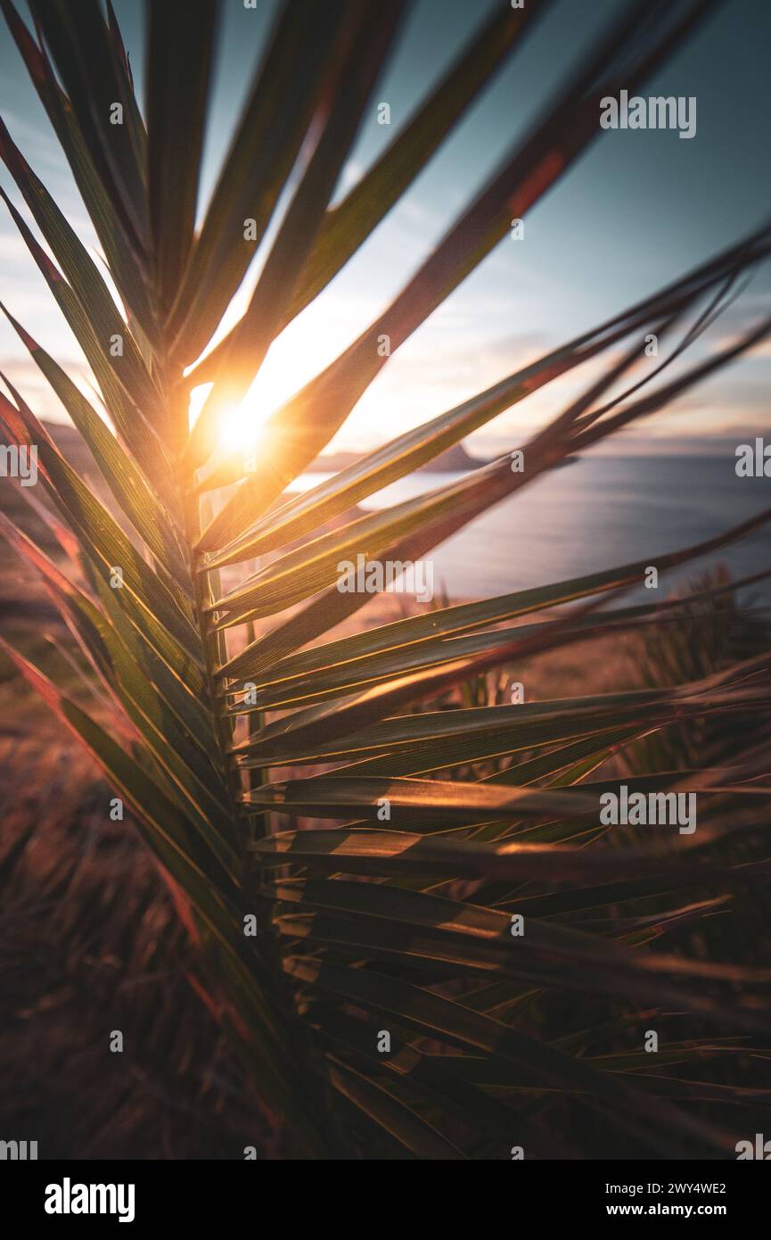 Unterwegs auf der portugiesischen Insel Madeira, der größten und bevölkerungsreichsten Insel des Madeira-Archipels, 26. April 2023. Im Bild: Sonnenaufgang an der Ponta de São Lourenco (Portugiesisch für „Spitze des Heiligen Laurentius“). Es ist der östlichste Punkt der Insel Madeira. // Reise auf der portugiesischen Insel Madeira, der größten und bevölkerungsreichsten Insel des Madeira Archipels, 26. April 2023. Auf dem Bild: Sonnenaufgang bei Ponta de São Lourenco (Portugiesisch für den „Punkt des Heiligen Lorenz“). Es ist der östlichste Punkt der Insel Madeira. - 20230426 PD22246 Stockfoto