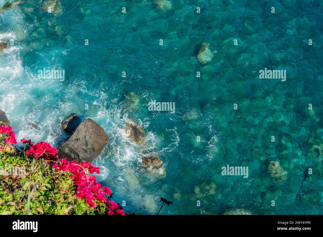 Drohnenblick auf Felsen und Bougainvillea-Blüten mit blauem, unberührtem Meer mit klarem, transparentem Wasser. Ozeanhintergrund mit Kopierraum Stockfoto