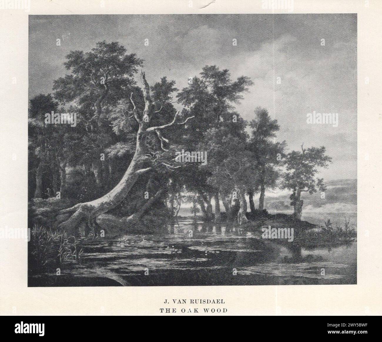 Große Meister der niederländischen und flämischen Malerei von W. Done übersetzt von Margaret L. Clarke , London : Duckworth and Co. New York : Charles Scribners Söhne 1909 / J. van Ruisdael : The Oak Wood Stockfoto