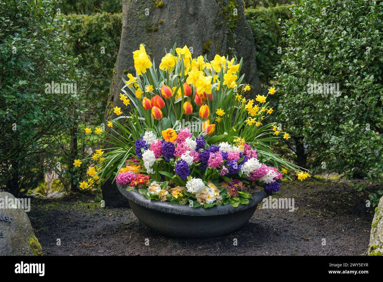 Blumenschale, Grab, Nordfriedhof, Wiesbaden, Hessen, Deutschland Stockfoto