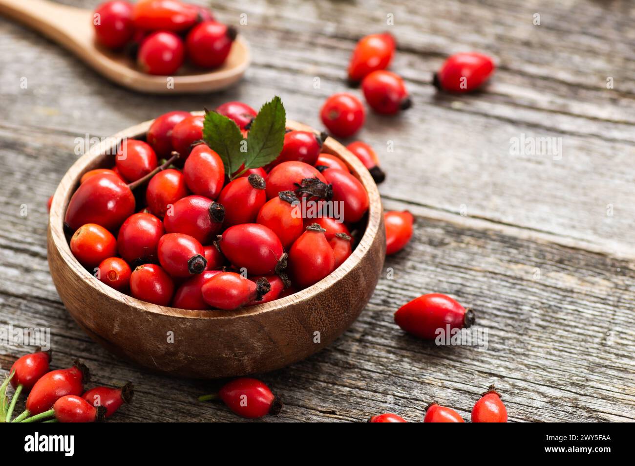 Frische reife Hagebutten auf hölzernem Hintergrund, gesundes Lebensmittelkonzept ( rosa canina ) Stockfoto