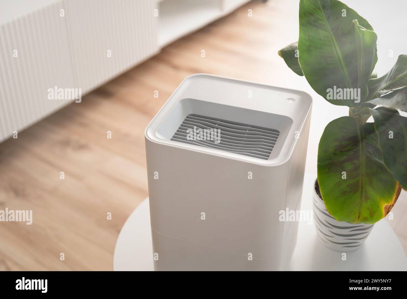 Moderner Luftbefeuchter im Wohnzimmer. Komfortable Lebensbedingungen. Stockfoto