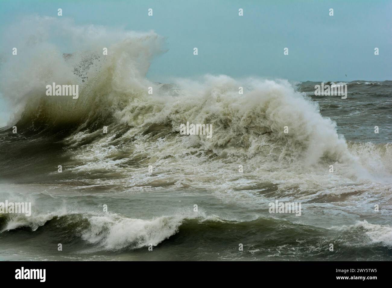 Abstürzende Wellen an der Ostküste Schottlands Stockfoto