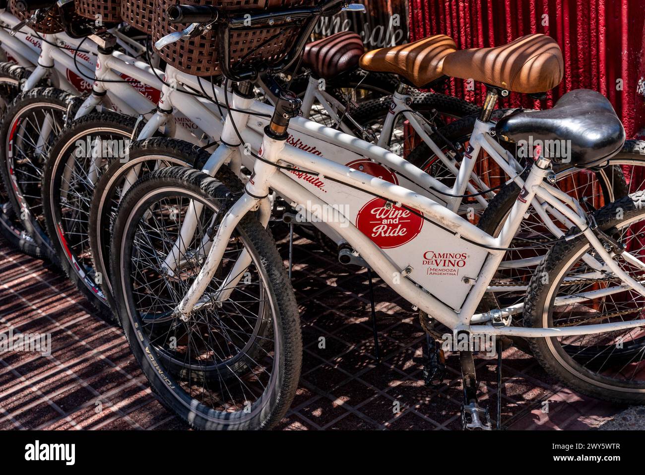 Fahrradverleih in Einem Geschäft an der Weinstraße, Mendoza, Provinz Mendoza, Argentinien. Stockfoto