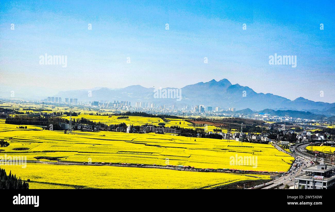 In Loupin Rooster Hills blühen leuchtende gelbe Blumen inmitten traditioneller chinesischer Architektur Stockfoto