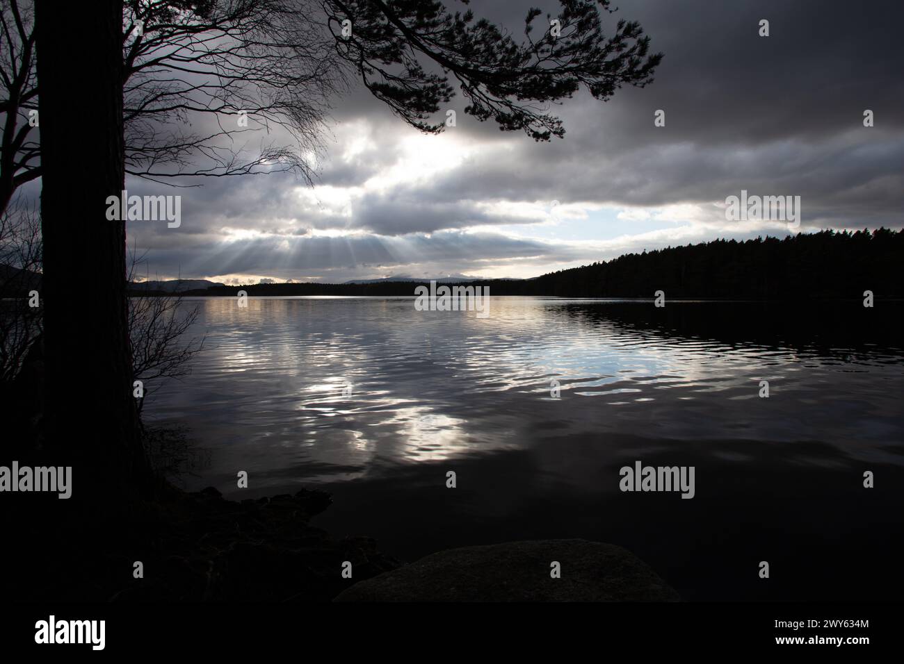 Loch Garten, Abernathy, Nethybridge, Aviemore, Cairngorm National Park, Schottland bei Sonnenuntergang mit Lichtstrahlen, die durch Wolken kommen, die sich auf See spiegeln Stockfoto