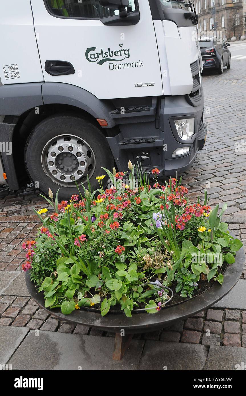Kopenhagen, Dänemark /04 April 2024/.dänisches carlsberg-Bier in der dänischen Hauptstadt Kopenhagen. Photo.Francis Joseph Dean/Dean Pictures Stockfoto