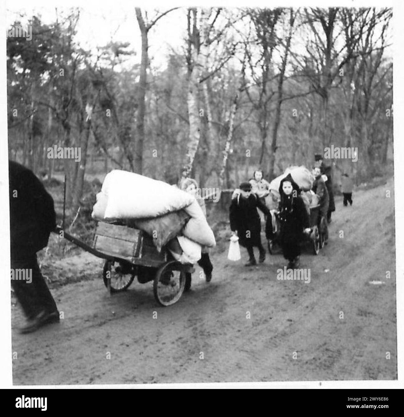 Deutsche Zivilisten werden nach Verhören und Registrierung auf Baumpfeilern umgeleitet, in der Hoffnung, später in ihre Dörfer zurückzukehren. Stockfoto Deutsche Zivilisten werden nach Verhören und Registrierung auf Baumpfeilern umgeleitet, in der Hoffnung, später in ihre Dörfer zurückzukehren. Stockfoto