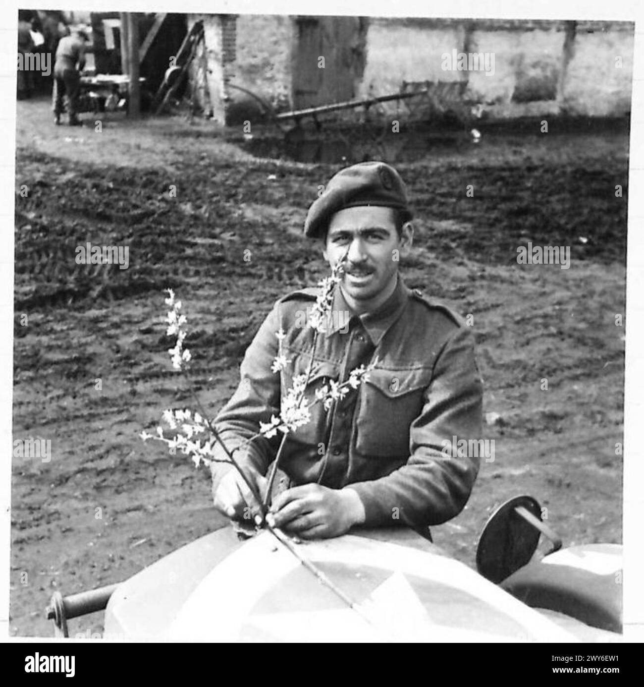 Dr. F.L. Lones legt einen Zweig Mandelblüte auf die Motorhaube seines Autos in Bolton, British Army, 21st Army Group, während des Vormarsches im Zweiten Weltkrieg Stockfoto