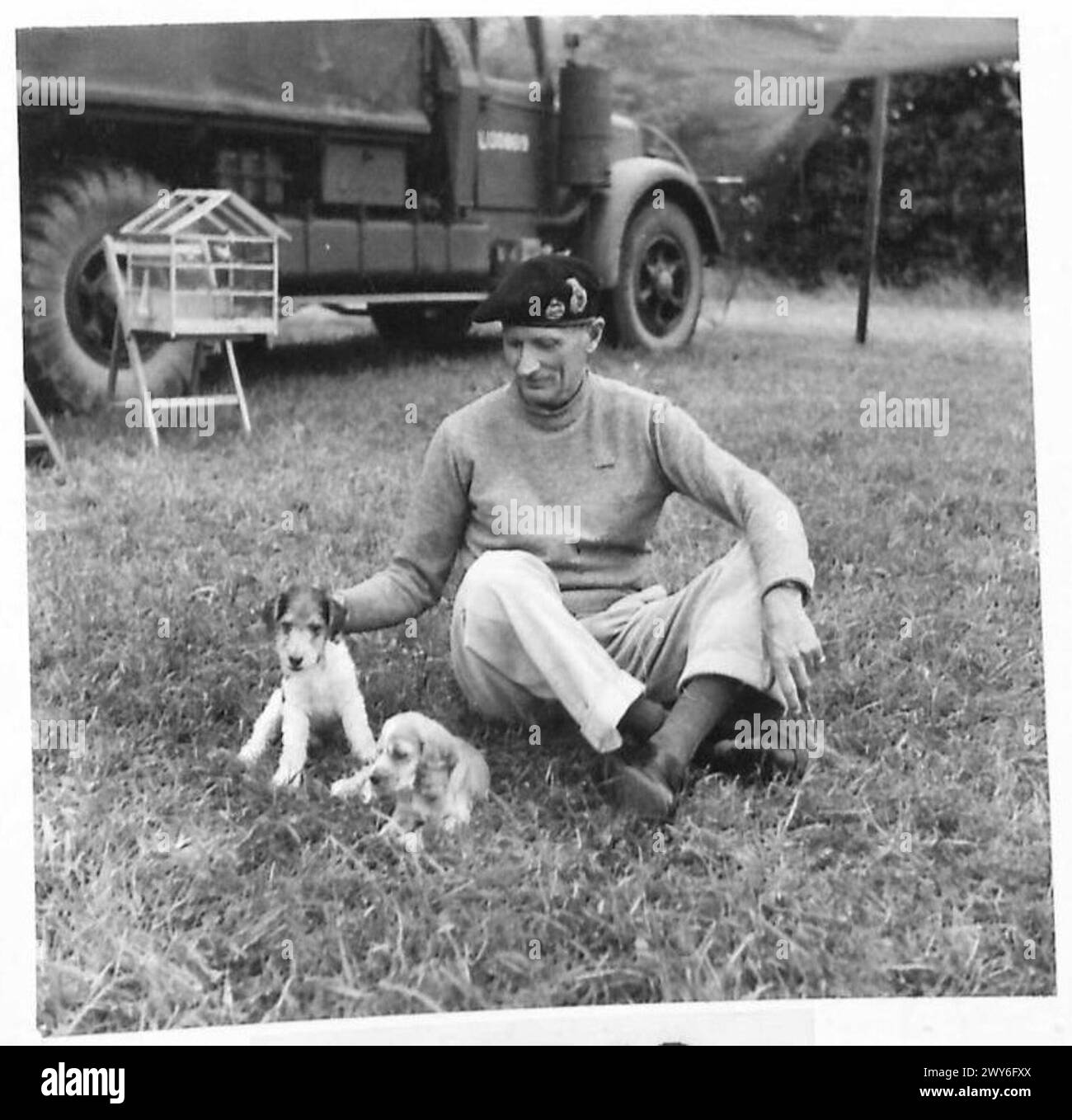 General Montgomery ist mit seinen Hunden, die auch „Hitler“ und „Rommel“ genannt werden, im Hauptquartier der 21. Armee in Blay abgebildet, mit einem Kanarienkäfig im Hintergrund. Stockfoto