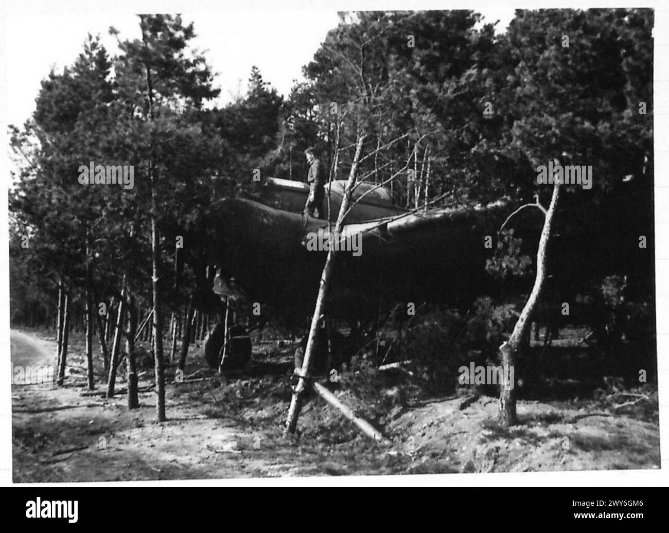 DIE LUFTWAFFE IM VERSTECK - zwei Bilder von zwei deutschen Flugzeugen, die unter den Bäumen versteckt waren. Britische Armee, 21. Armeegruppe Stockfoto