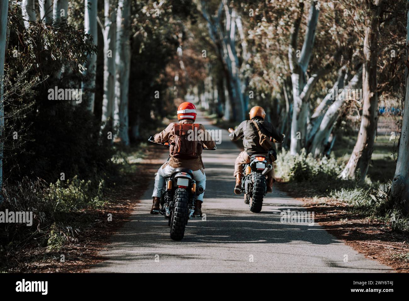 Ein Paar auf Motorrädern fährt durch einen üppigen Waldweg Stockfoto
