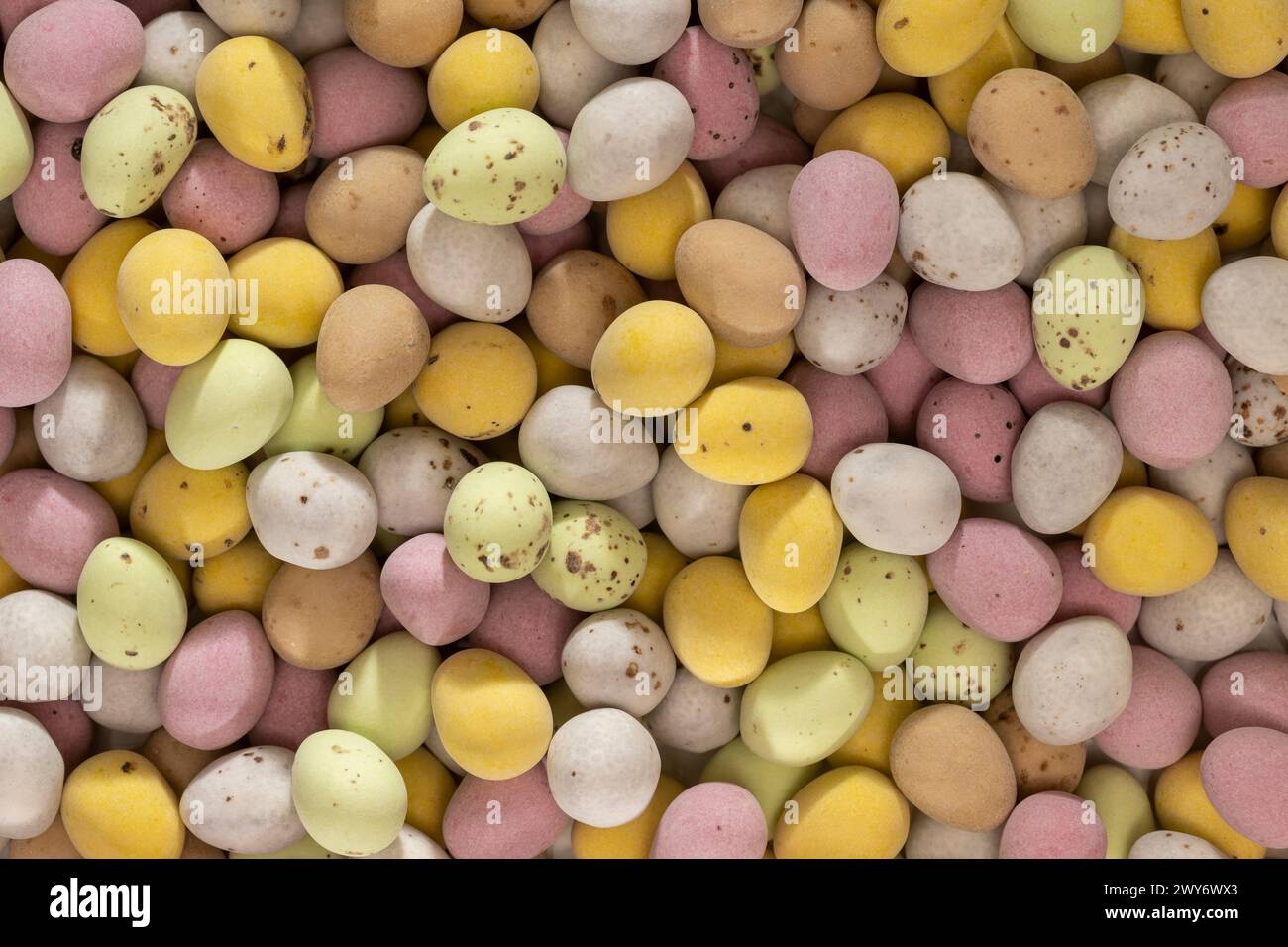 Flaches Lagen von pastellfarbenen, zuckerüberzogenen Schokoladen-Mini-Eiern Stockfoto