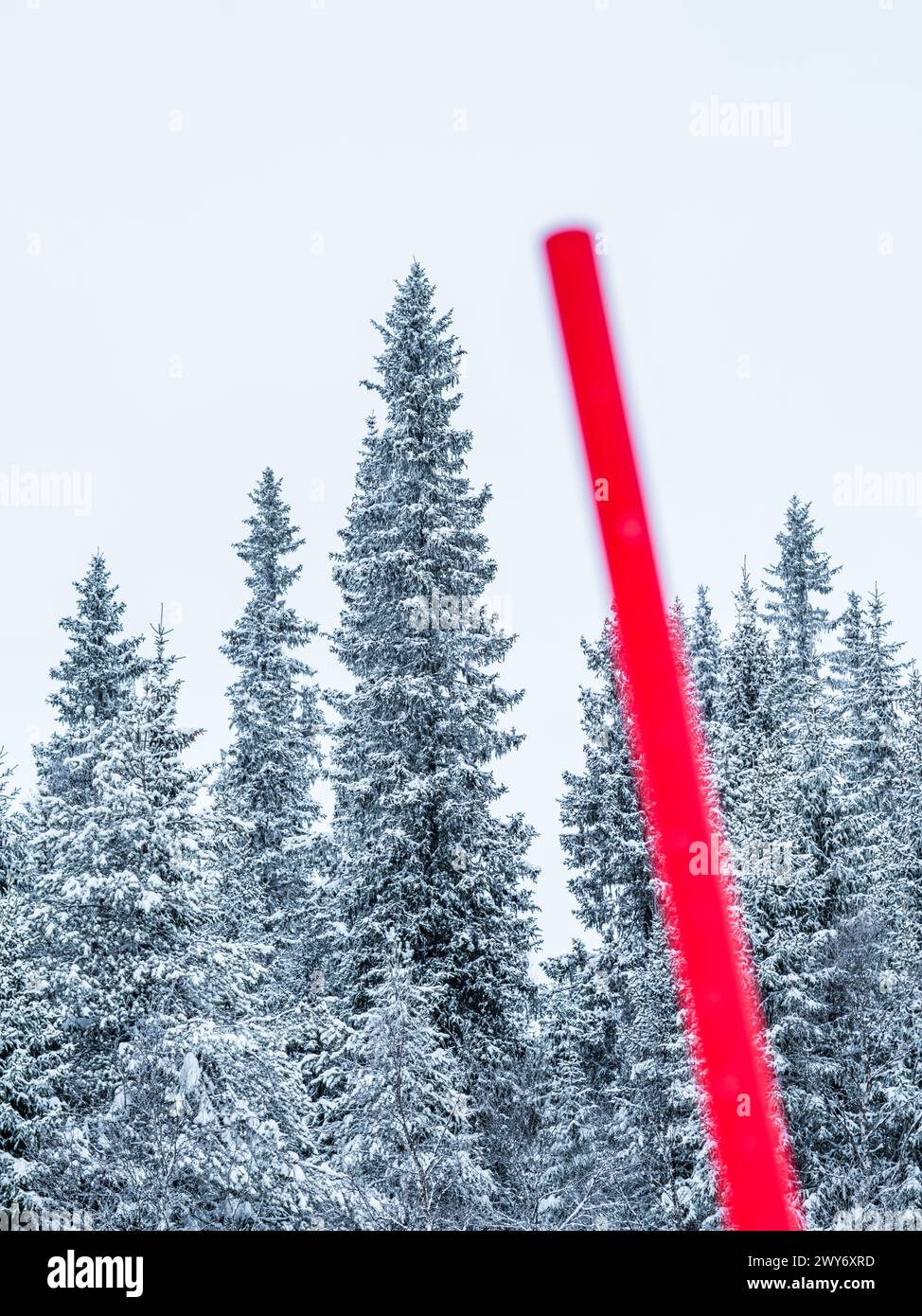 Ein leuchtender roter Schneepol wird in scharfem Kontrast zu einer ruhigen Kulisse eines dichten Nadelwaldes mit Schnee in der schwedischen Landschaft gefangen Stockfoto
