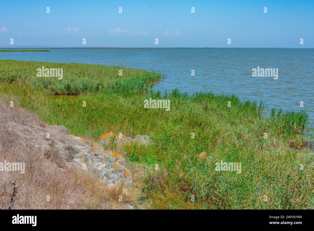 Sommertag im Donaudelta in Rumänien Stockfoto