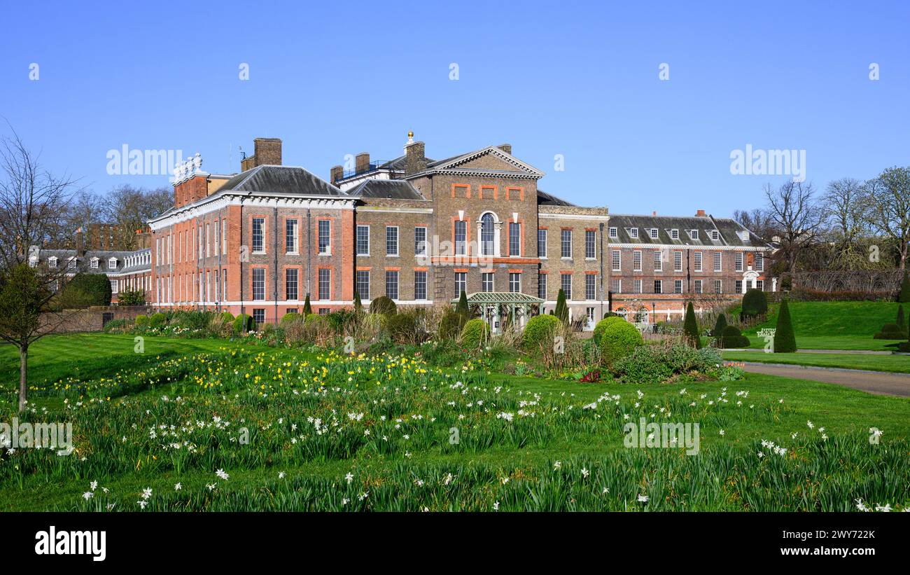 London, Großbritannien - 24. März 2024; Frühlingsblumen vor der Ostfassade des Kensington Palace mit klarem blauem Himmel Stockfoto