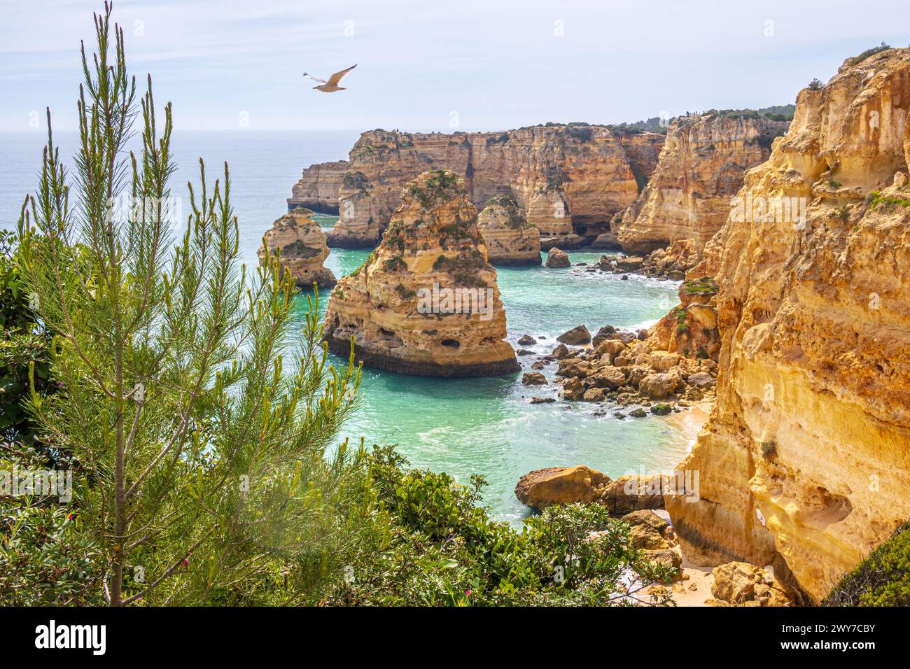 Klippen und Meer, Praia da Marinha in der Nähe von Benagil, Algarve, Portugal Stockfoto