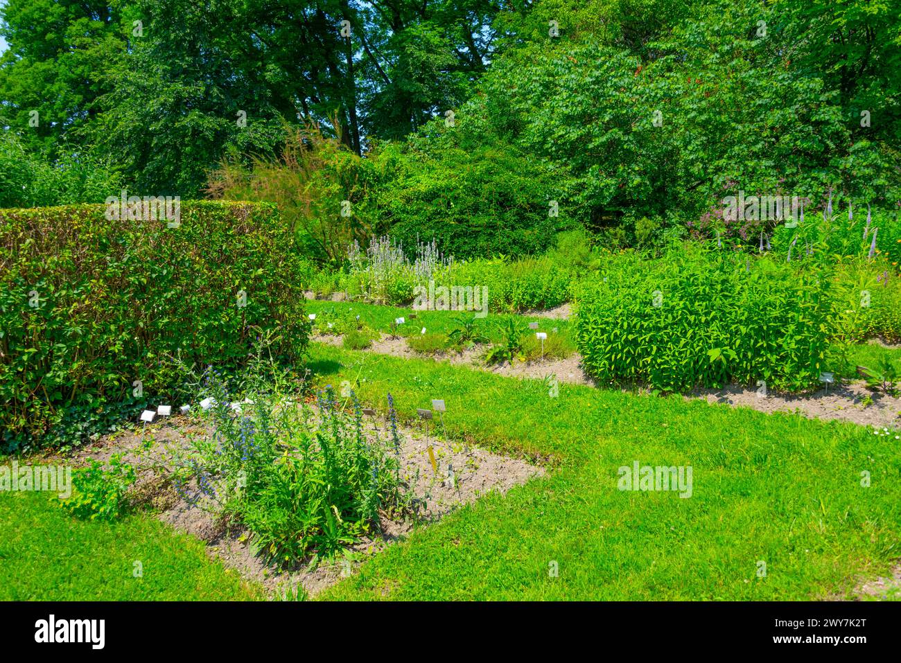 Botanischer Garten in der slowenischen Hauptstadt Ljubljana Stockfoto