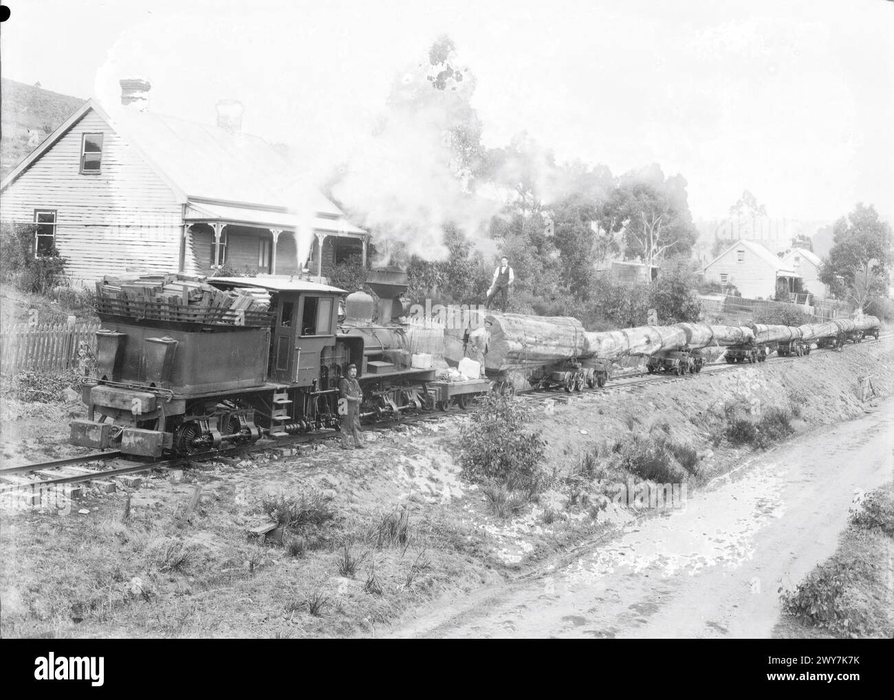 Zugschlepper, wahrscheinlich Geeveston, Tasmanien Australien (1900er Jahre) Stockfoto