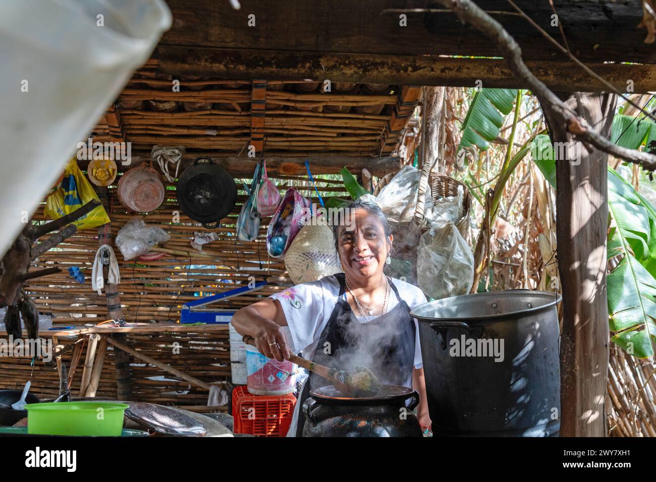 San Pablo Huitzo, Oaxaca, Mexiko - Landwirte sind Teil einer Genossenschaft, die agroökologische Prinzipien verwendet. Sie vermeiden Pestizide und andere Chemikalien, A Stockfoto