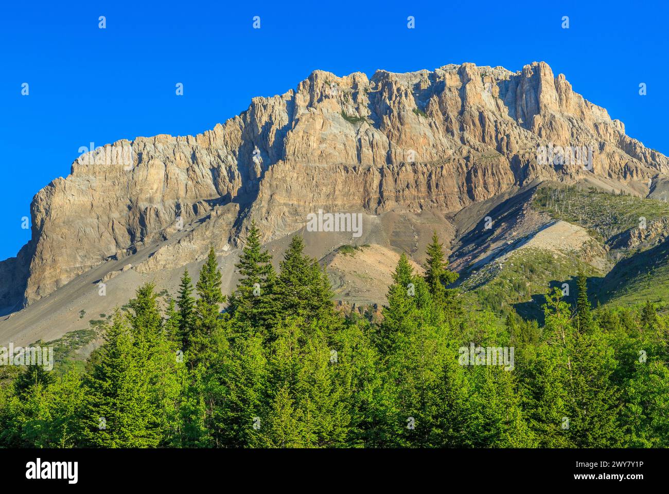 Mount frazier über dem Blattschlucht entlang der felsigen Berghütte bei bynum, montana Stockfoto