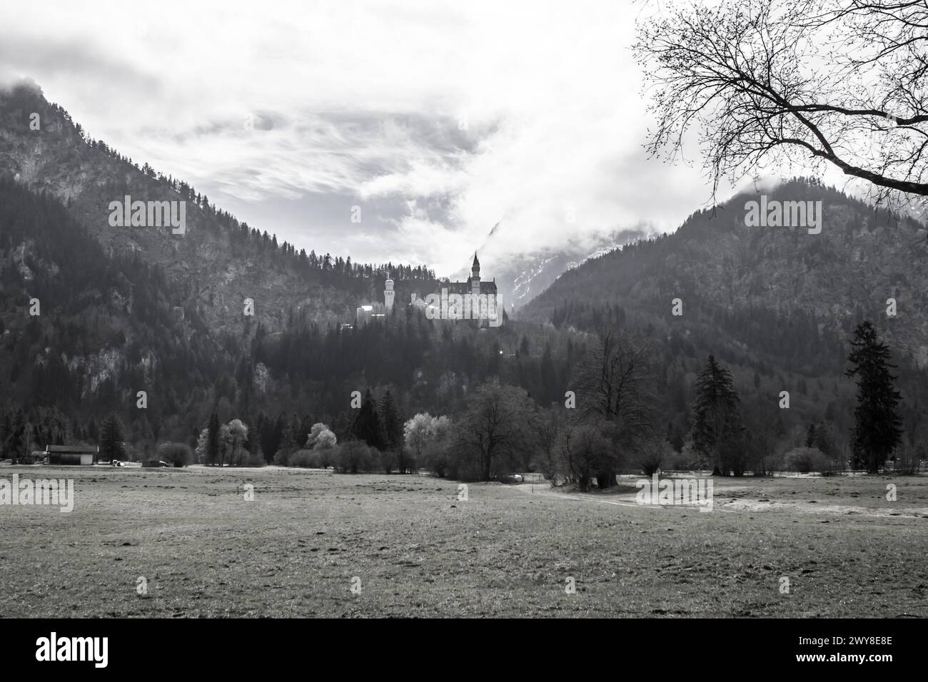 Schloss Neuschwanstein von den Feldern aus gesehen Stockfoto