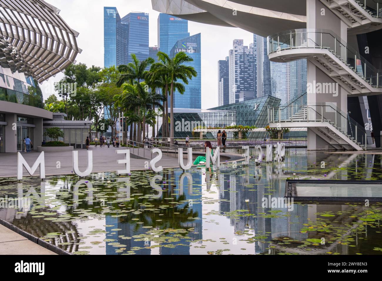 Lotus am Wasserteich im ArtScience Museum, Singapur Stockfoto