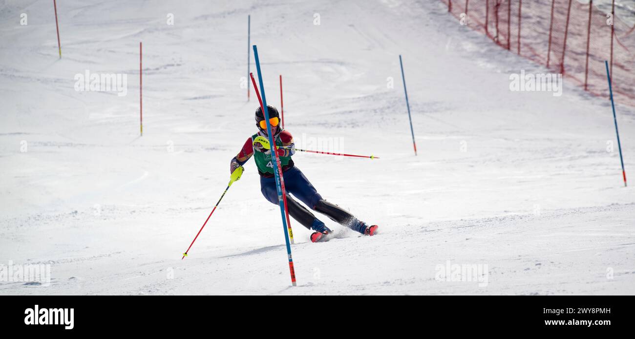 Weibliche U16-Slalom-Skirennläuferin, die während einer Veranstaltung im März 2024 im Skigebiet Cannon Mountain in den White Mountains, New Hampshire, USA, durch die Tore am Ende der Rennstrecke drehte. Stockfoto