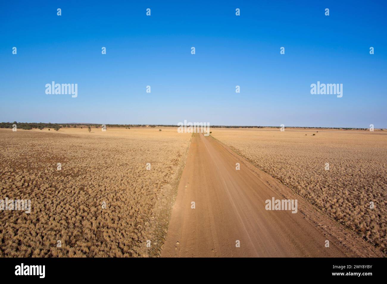 Wüstenstraße, die sich bis in den Horizont unter einem blauen Himmel mit einer riesigen trockenen Landschaft erstreckt Stockfoto