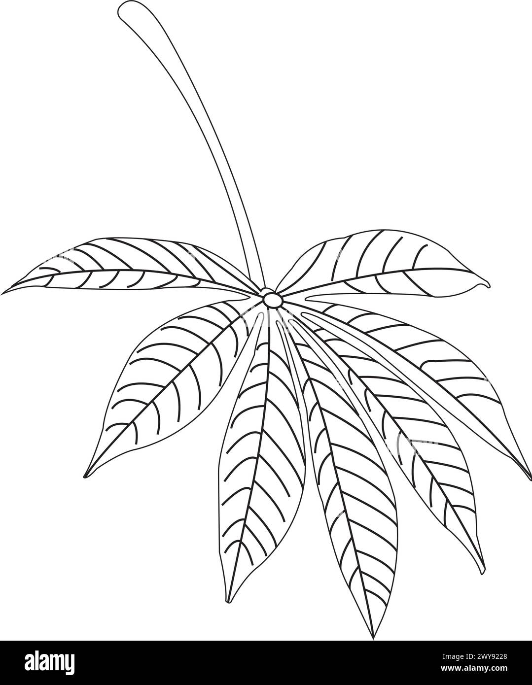 Maniok-Blatt-Symbol-Vektor-Symbol-Design Stock Vektor