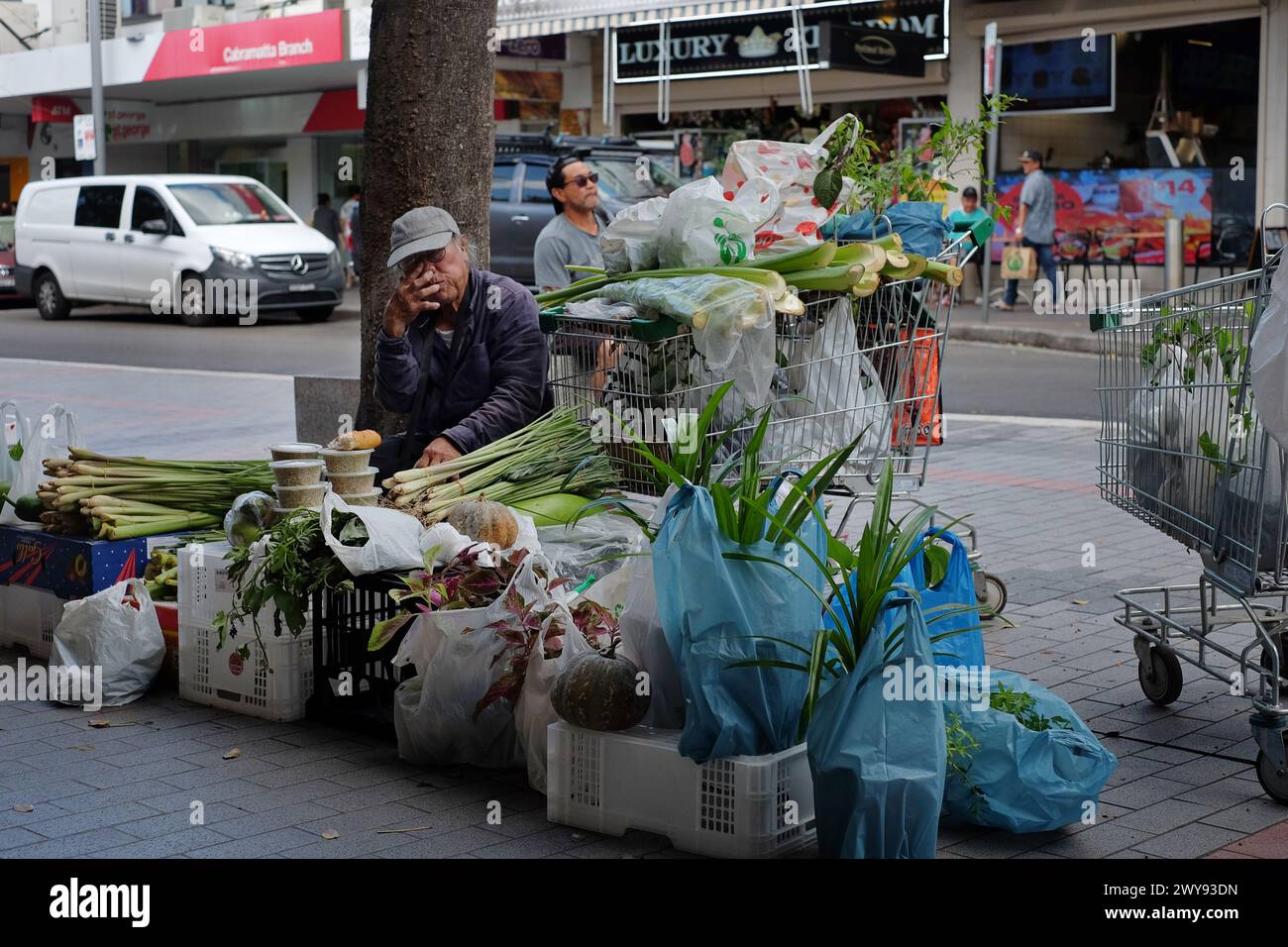 Ein asiatischer Mann sitzt mit lokalen Produkten auf einem improvisierten Straßenmarkt in John St Cabramatta, Western Sydney Stockfoto