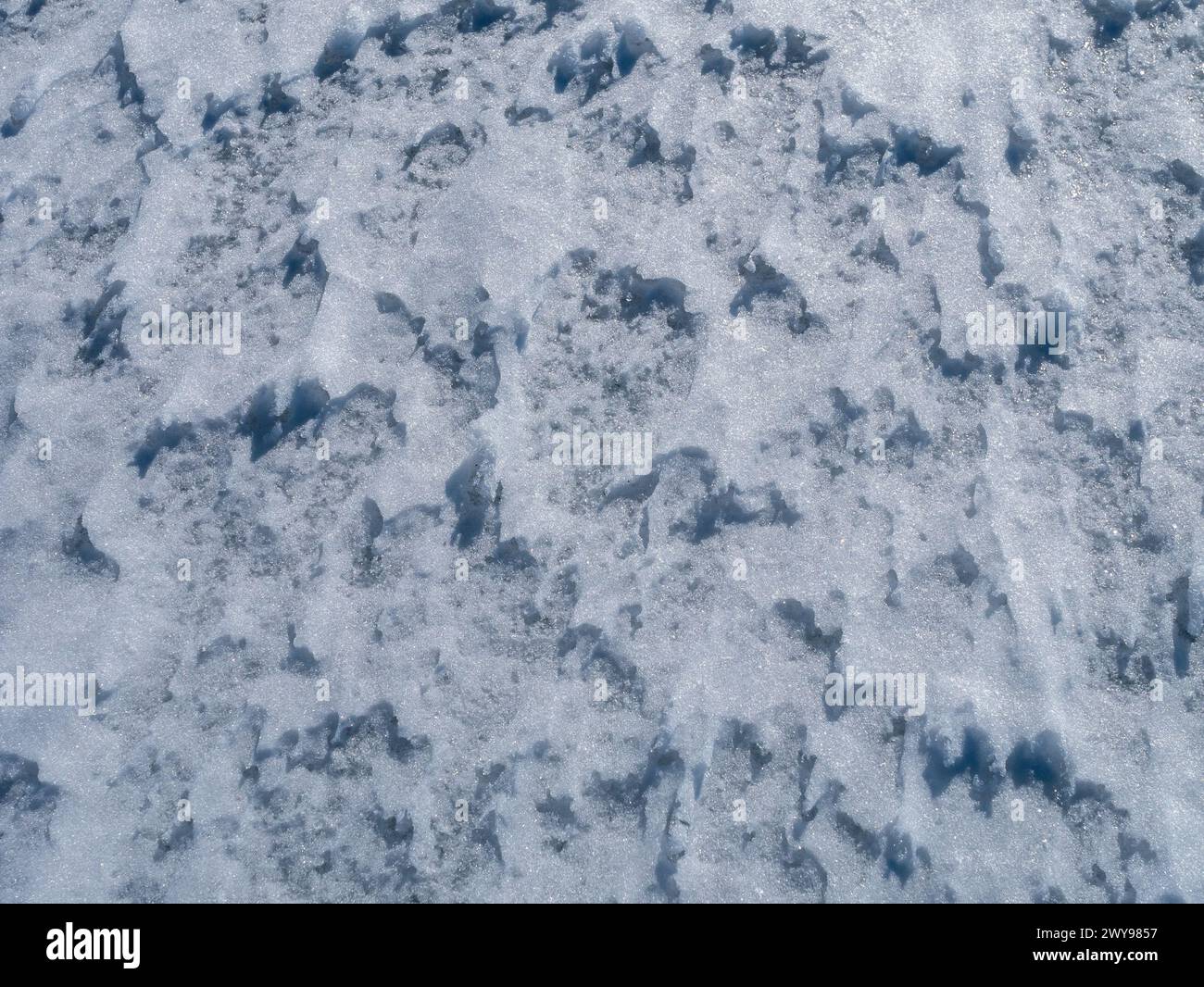 Natürlicher Eisschnee Hintergrund Stockfoto