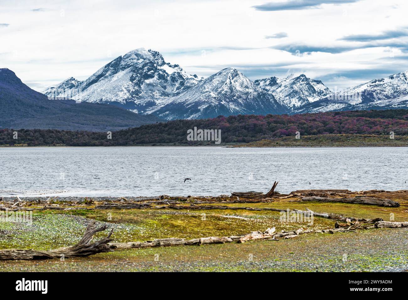 Segeln durch den Beagle Channel, an der Südspitze Südamerikas, Argentiniens und Chiles Stockfoto