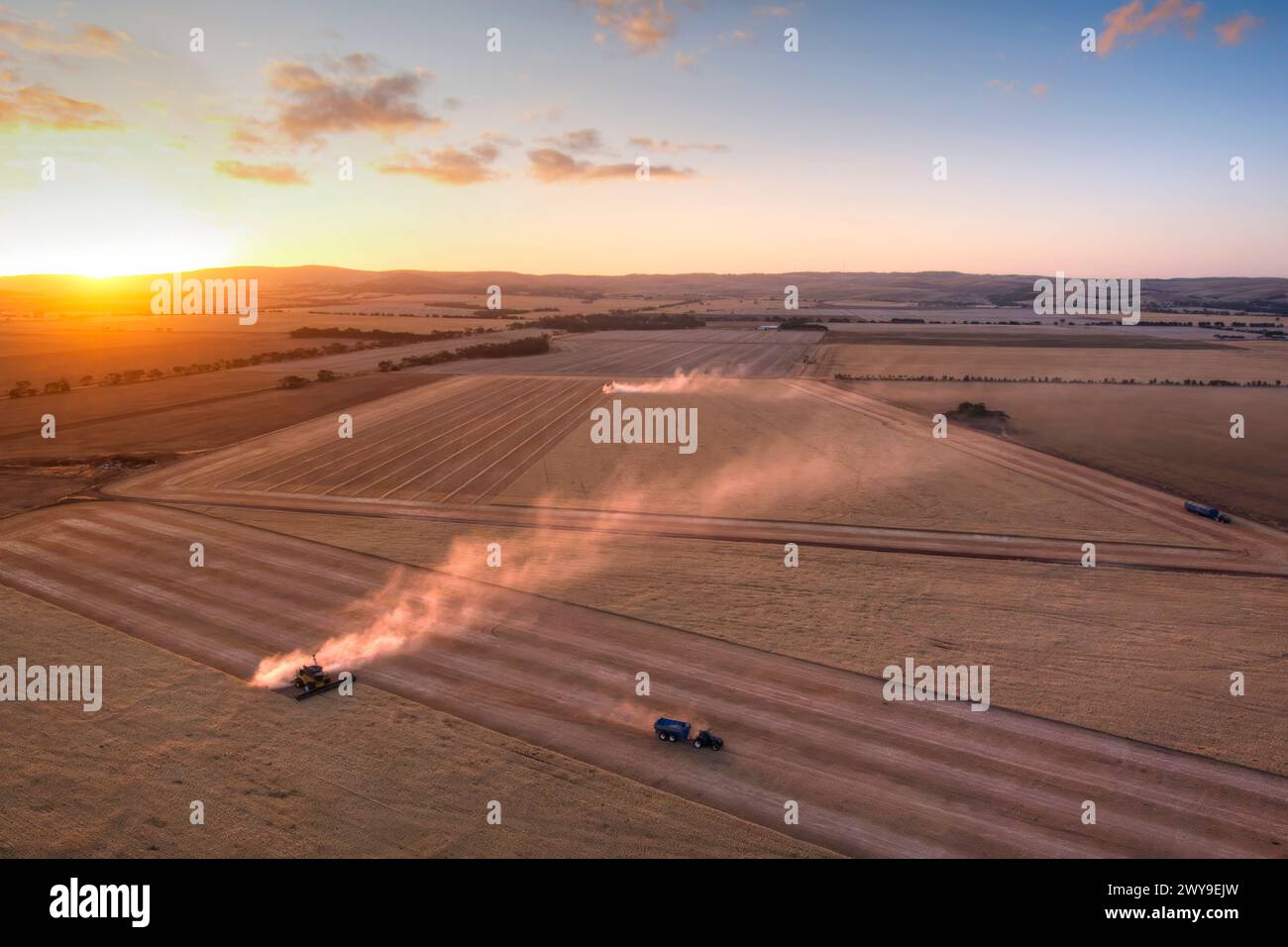 Aus der Vogelperspektive zweier Mähdrescher in einem Weizenfeld bei Sonnenuntergang mit Staub, der hinter ihnen in einer ländlichen Landschaft liegt Stockfoto