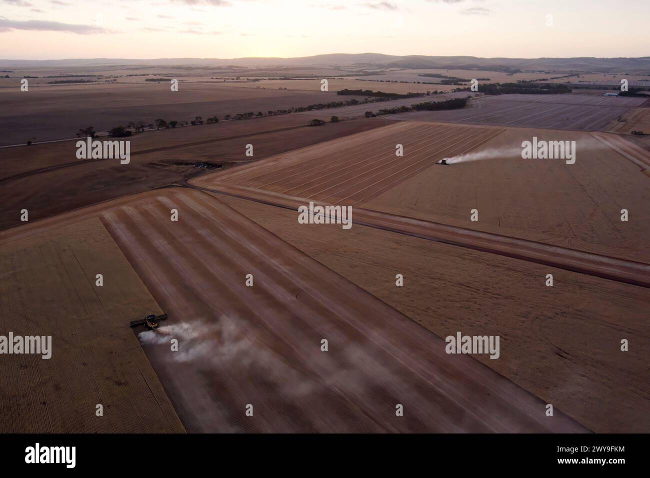 Luftlinie von Mähdreschern, die bis in die Nacht arbeiten, um Weizenernte in der Nähe von Tumby Bay South Australia zu ernten Stockfoto