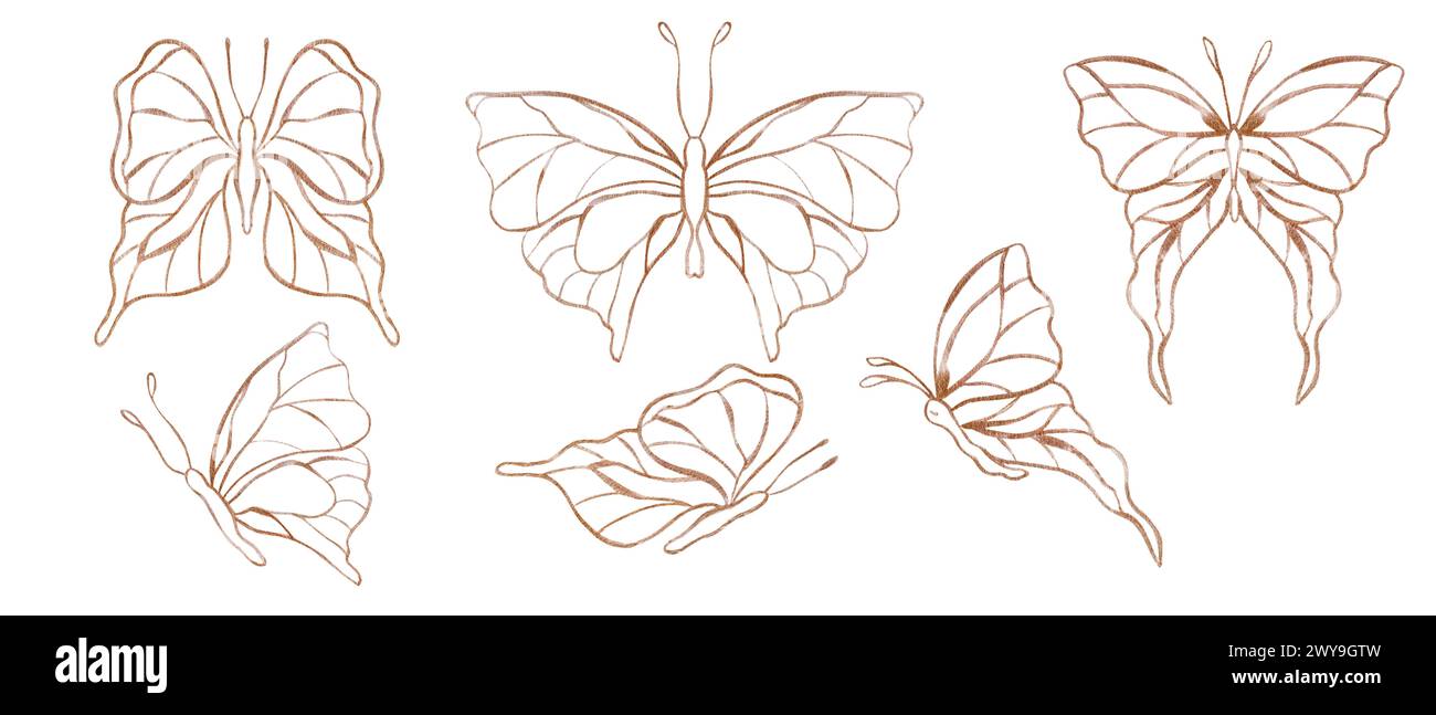 Goldene Doodle-Schmetterlinge. Set von abstrakten tropischen Insekten in Aquarellen. Strichgrafik, flach. Handgezeichnete Illustration für Textil, Hochzeitseinladung Stockfoto