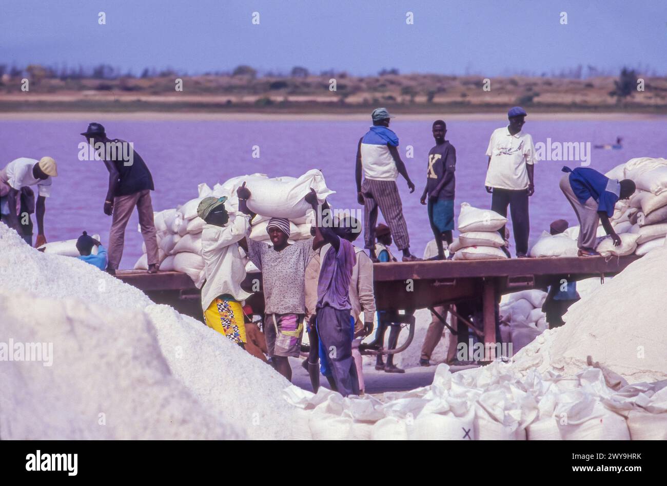 Senegal, „Ernte“ von Salz aus dem Lake Retba, auch bekannt als Lac Rose (bedeutet „rosa See“). Seine rosa Wasser verursacht durch Dunaliella salina Algen und bekannt Stockfoto