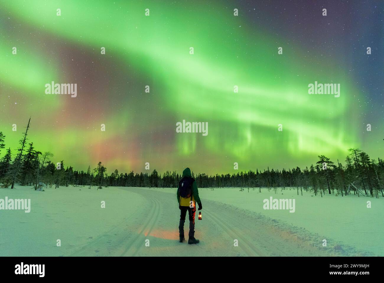 Mann mit Laterne in der Winternacht, der auf einer leeren, eisigen Straße spaziert und dabei Polarlichter, Aurora Borealis, Akaslompolo, Pallas-Yllastunturi Nation bewundert Stockfoto