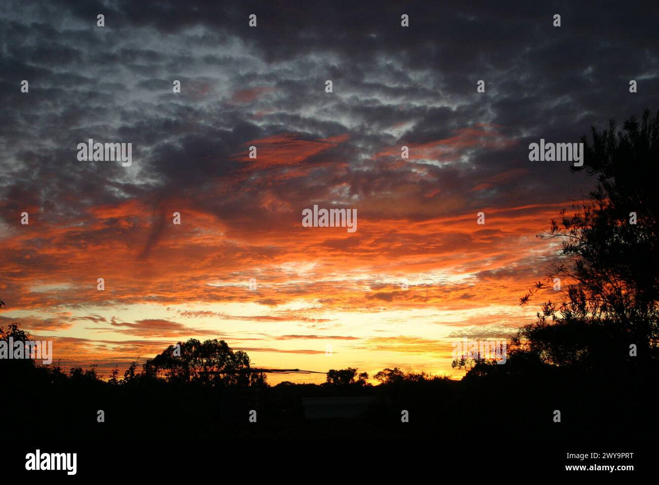 Sonnenuntergang mit Silhouettenbäumen und einer dunkelorangen Reflexion auf den Wolken. Stockfoto