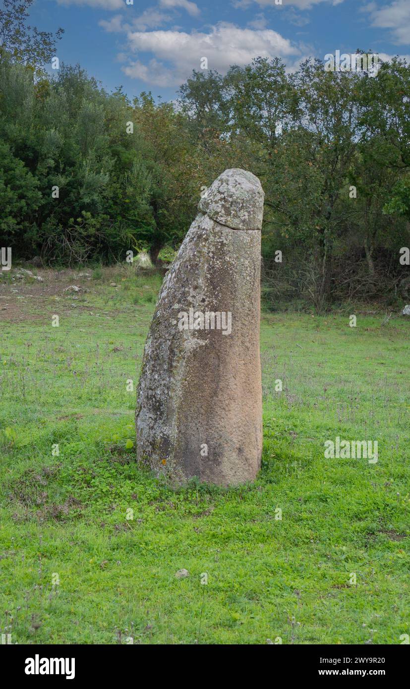 Menhir-Vertikalsteine aus der Bronzezeit und dem Nuragischen und pränuragischen Zeitalter Stockfoto