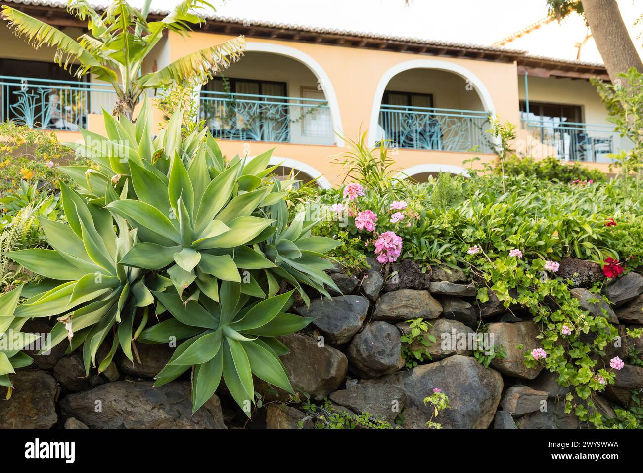 Tropische, gepflegte Gartenpflanzen wachsen aus ummauerten Gärten im Quinta Splendida Wellness and Botanical Garden Hotel in Canico, Madeira. Stockfoto