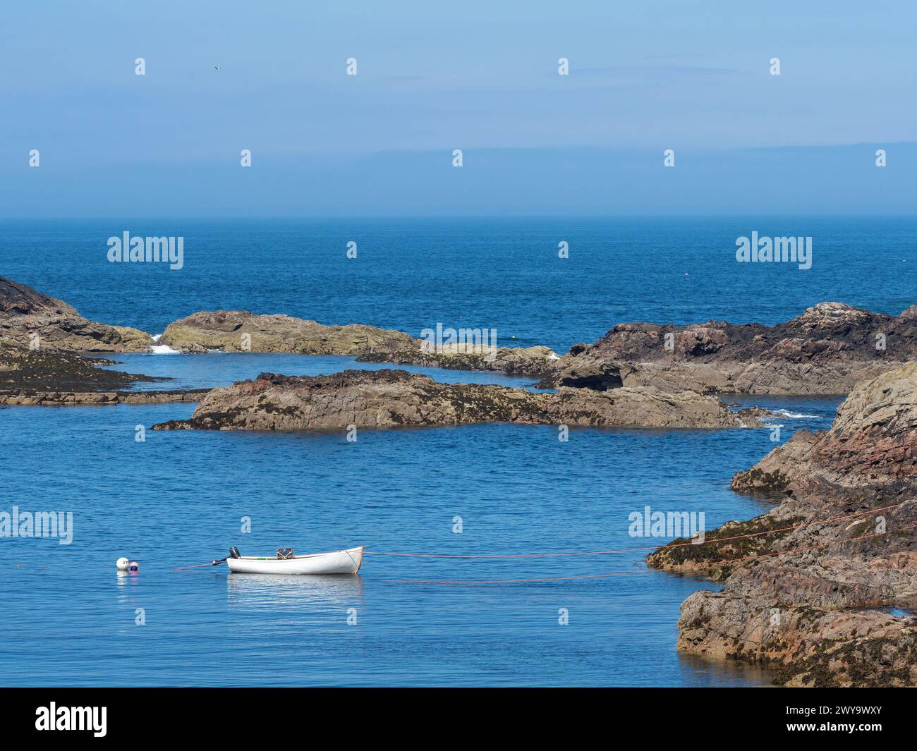 Kleines weißes Boot, das am Skerry Harbour, Portskerra, Nordküste Schottlands, vor Anker liegt Stockfoto