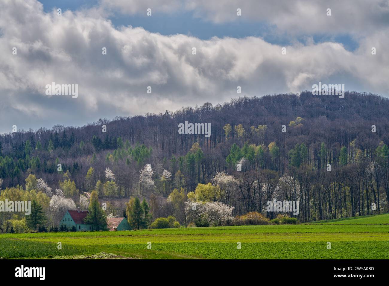 niederschlesische Frühjahrslandschaft rund um den Berg Sleza Stockfoto