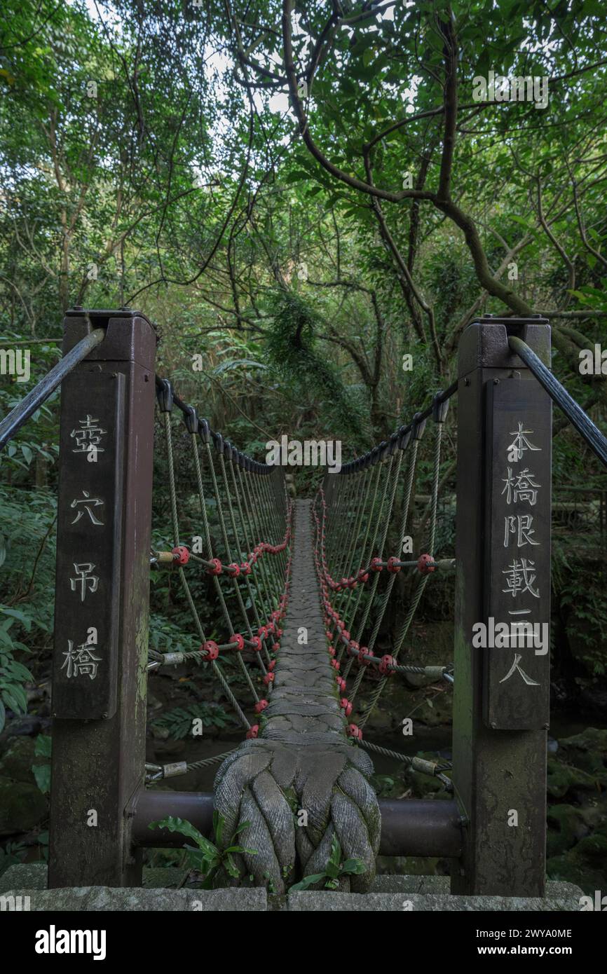 Eine alte, verwitterte Brücke erstreckt sich in einen üppig grünen Wald und vermittelt ein Gefühl von Abenteuer und Ruhe Stockfoto