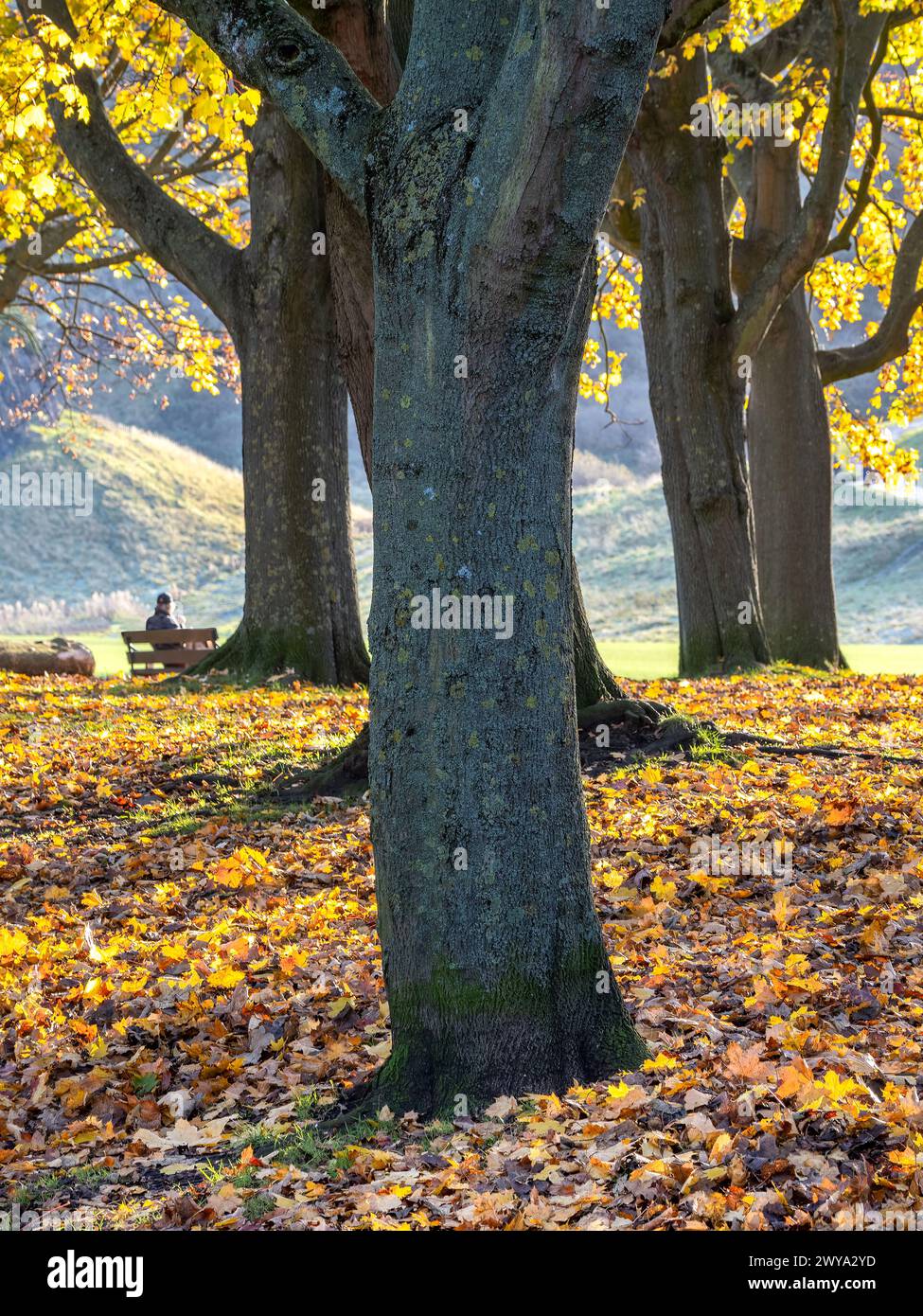 Holyrood Park Edinburgh Schottland im November Stockfoto