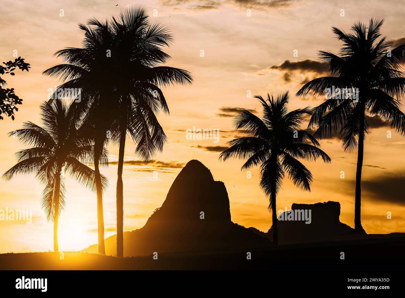 Sonnenuntergang mit den berühmten zwei Brüdern im Hintergrund mit Palmen im Vordergrund, Rio de Janeiro, Brasilien, Südamerika Copyright: A Stockfoto